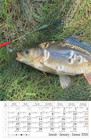 Naptár, fali, CSG "Horgász" 