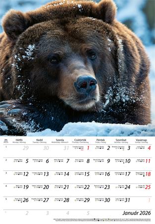 Naptár, fali, DAYLINER, "Vadászat"