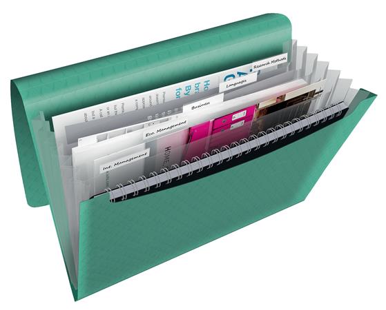 Harmonikamappa, A4, PP, 6 rekeszes, ESSELTE "Colour`Breeze", zöld