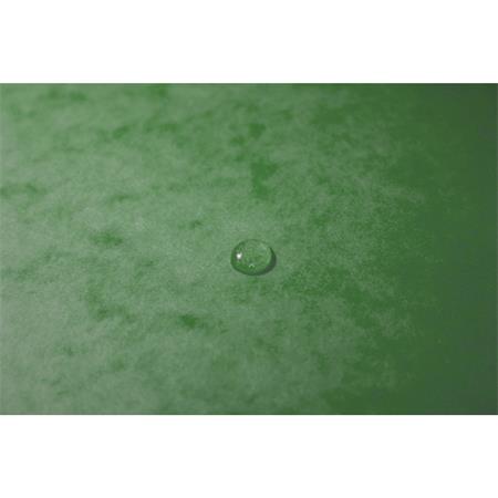 Gumis mappa, prespán, A4, EXACOMPTA, lágy zöld