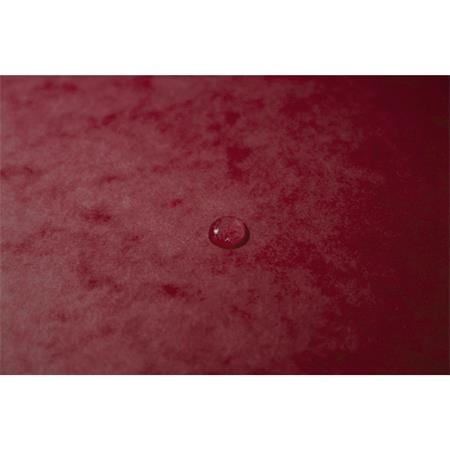 Gumis mappa, prespán, A4, EXACOMPTA, cseresznye