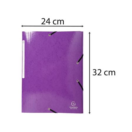 Gumis, mappa, karton, A4, EXACOMPTA "Iderama", lila