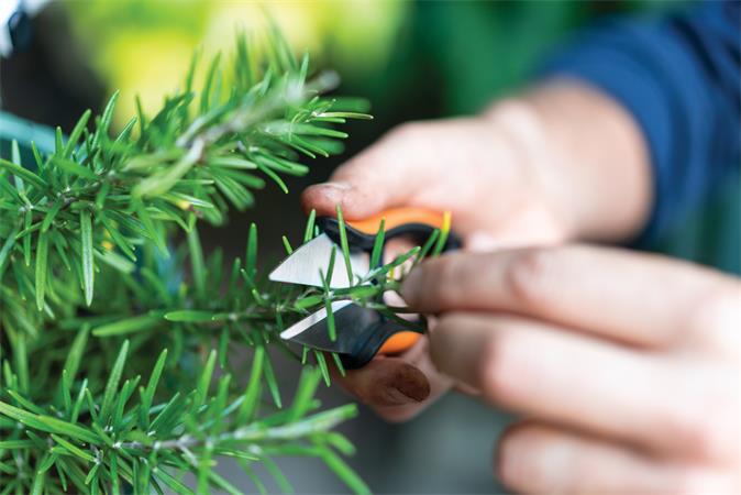 Fűszervágó olló, FISKARS "Solid™ SP220"