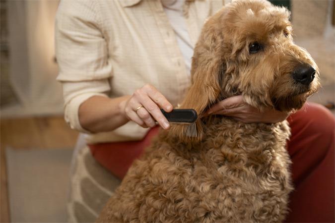 Kisállat kefe, széles fogú, FISKARS "PetCare"