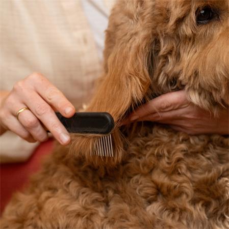 Kisállat kefe, széles fogú, FISKARS "PetCare"