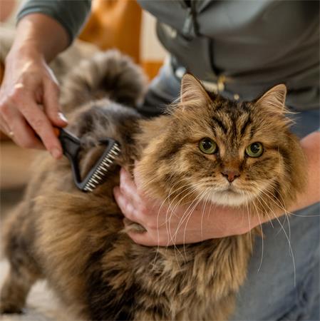 Kisállat fésú, gubancbontó, FISKARS "PetCare"