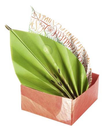 Origami papír, 15x15 cm, 80 g, 50 lap, FOLIA "Tropical", 10 különböző minta