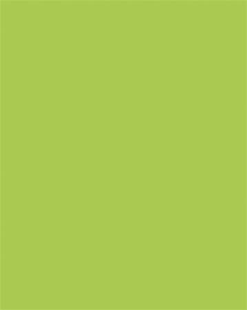 Dekorkarton, 2 oldalas, A4, 300 g, 50 lap, FOLIA, tavaszzöld