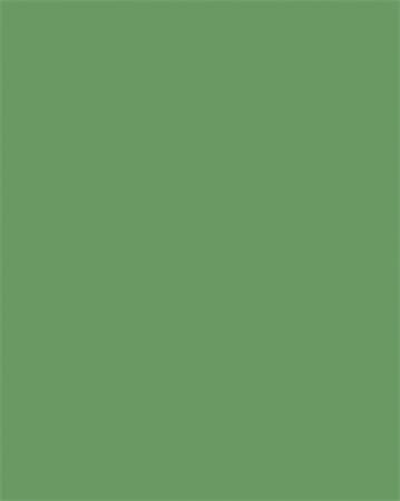 Dekorkarton, 2 oldalas, A4, 300 g, 50 lap, FOLIA, mohazöld