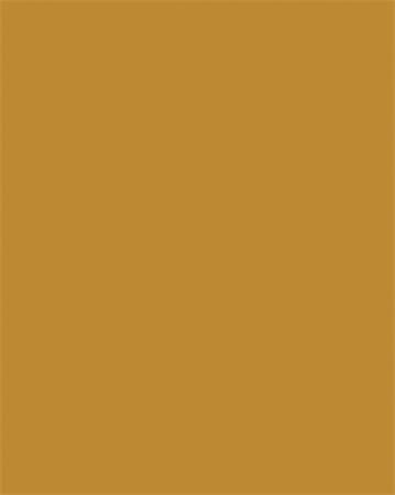 Dekorkarton, 2 oldalas, A4, 300 g, 50 lap, FOLIA, terrakotta