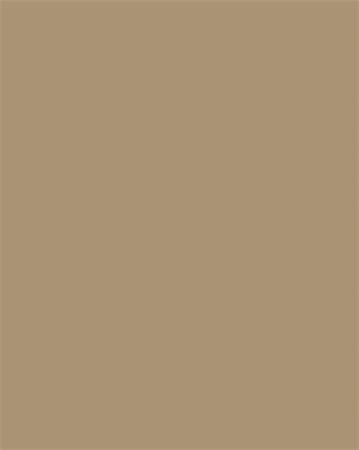 Színes papír, A4, 130 g, 100 lap, FOLIA, őzbarna