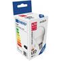 LED izzó, E14, kisgömb, G45, 4,5W, 470lm, 6400K, AVIDE
