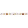 LED szalag, 2m, 120 LED, 4,8W, 960lm, fehér, 4000K, AVIDE
