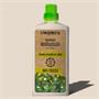Mosogatószer, organikus, 1 l, CLEANECO, repce kivonattal