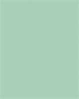 Dekorkarton, 2 oldalas, 50x70cm, 220 g, 10 lap, FOLIA, menta