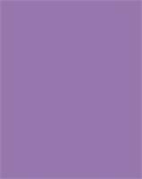 Dekorkarton, 2 oldalas, 50x70cm, 220 g, 10 lap, FOLIA, sötét orgonalila