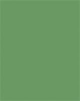 Dekorkarton, 2 oldalas, 50x70cm, 220 g, 10 lap, FOLIA, mohazöld