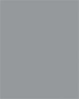 Dekorkarton, 2 oldalas, 50x70cm, 220 g, 10 lap, FOLIA, kőszürke