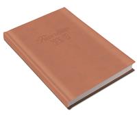 Tanítói zsebkönyv, heti, 2026/2027 tanév, REALSYSTEM, púder